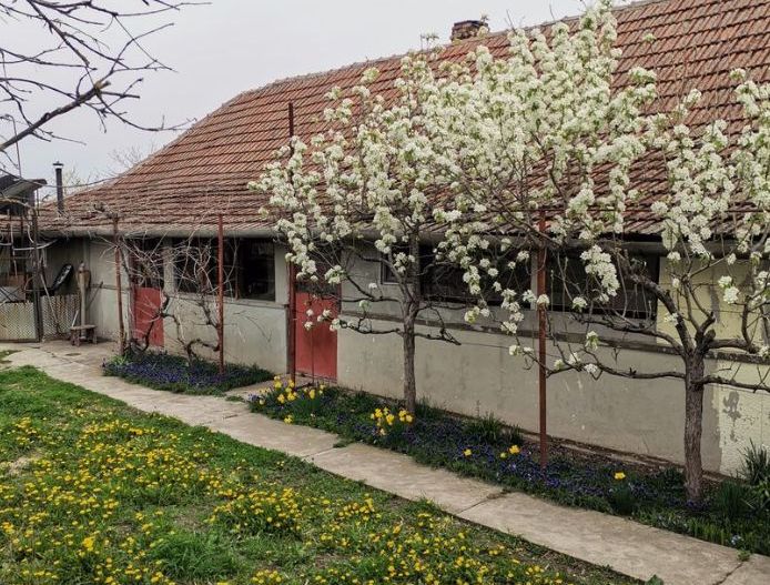 Casa de vanzare Variasu Mare, Arad - Poză 1
