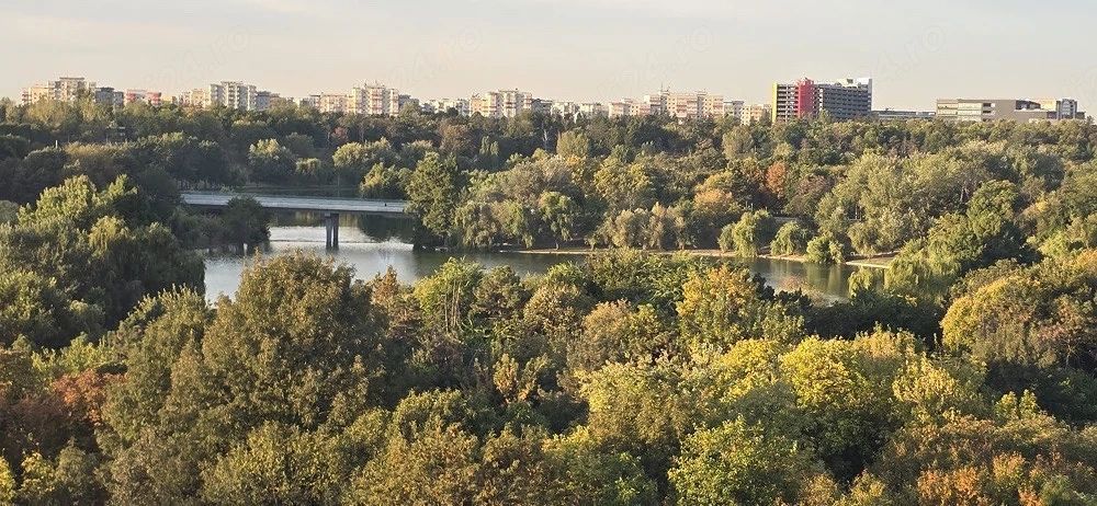 Apartament parcul Tineretului - Poză 18