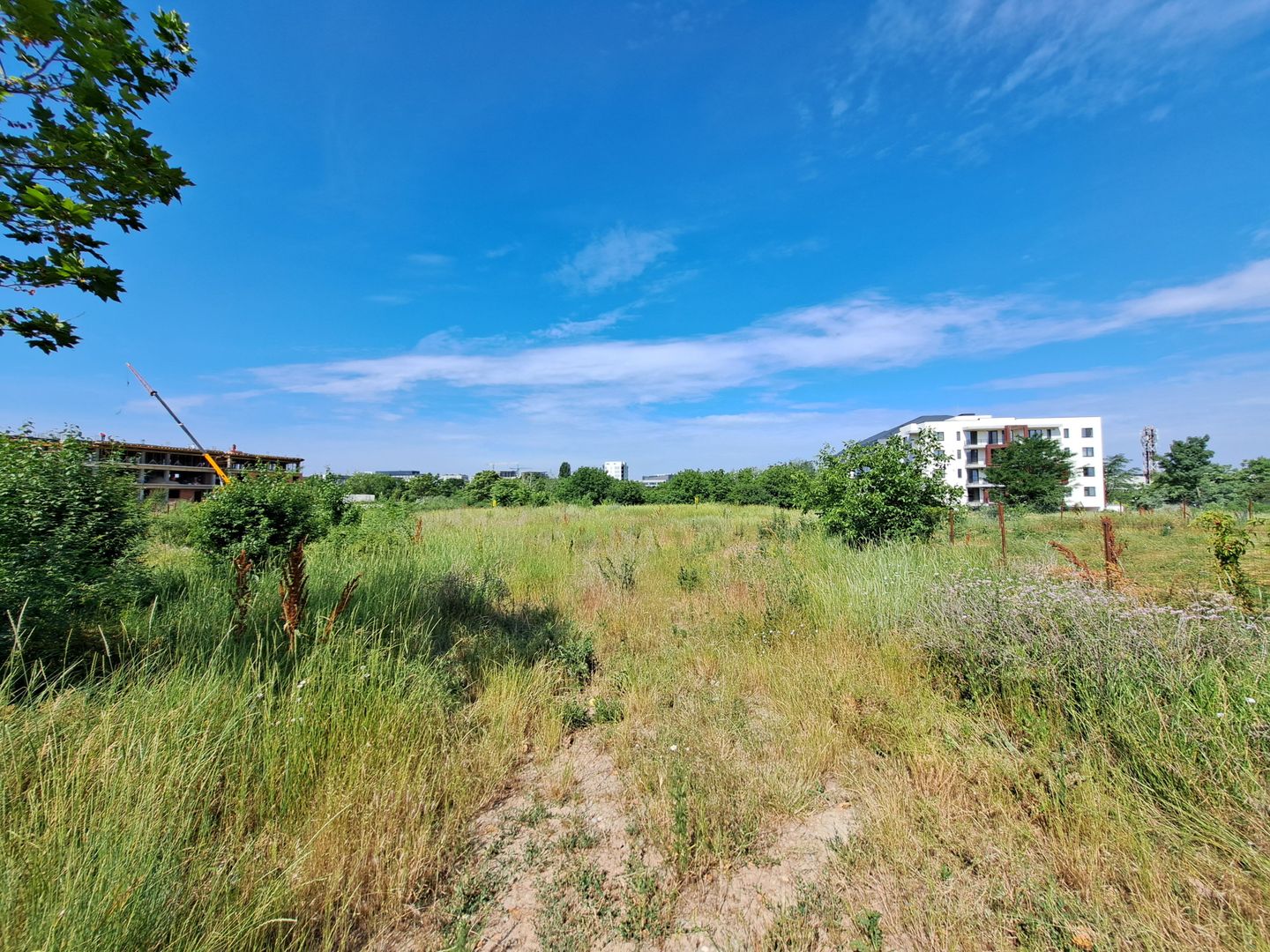 Teren intravilan 1907 mp - Aviatiei - Poză 3