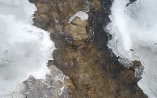 Teren Pretabil Investitie | Parau Rece Rasnov | 10.035mp | Extravilan - Poză 9