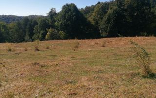 Teren Extravilan 20.000Mp I Stoenești -Vâlcea I Apă Curentă și Pădure - Poză 1