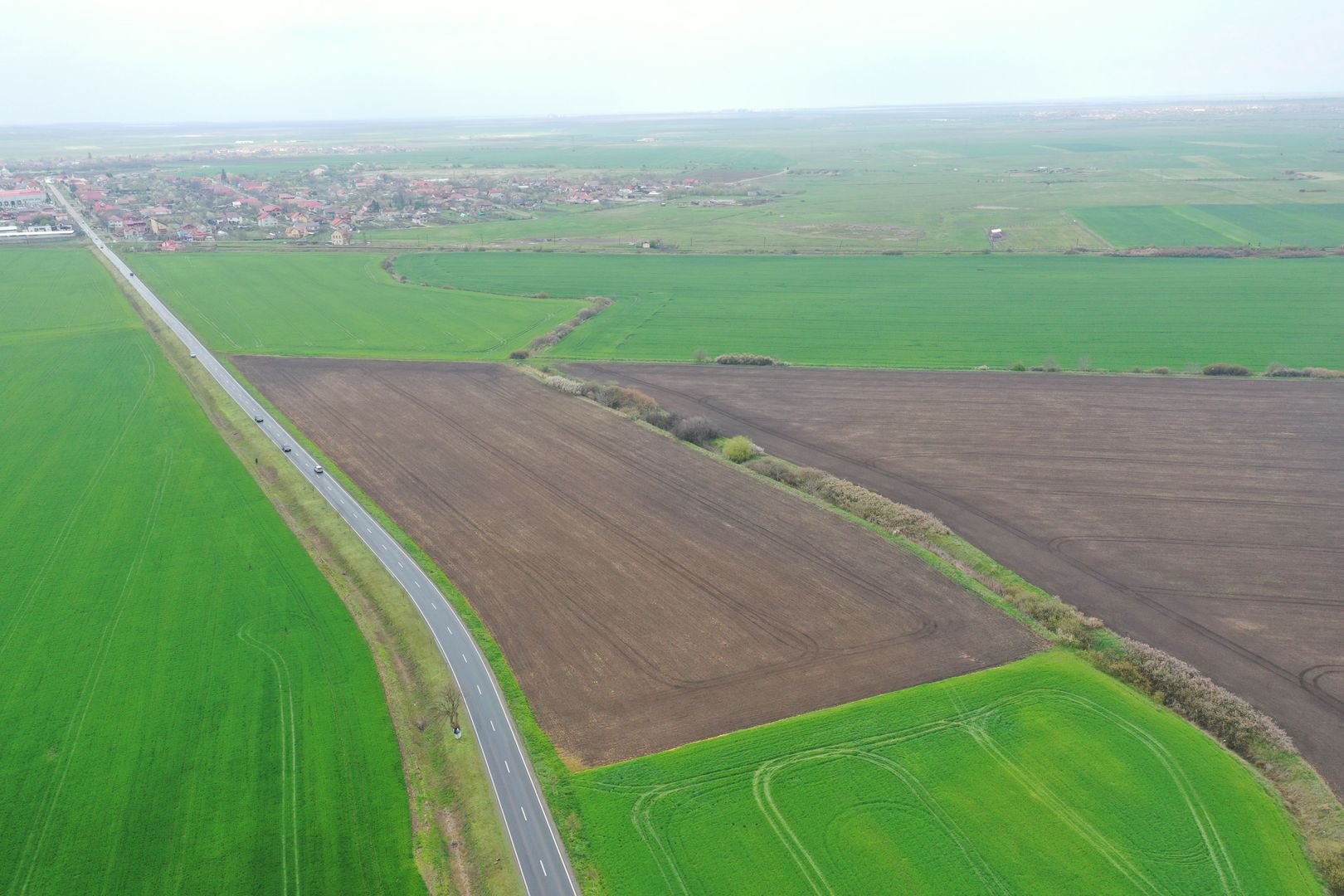 Teren industrial Dudestii Noi - Poză 7