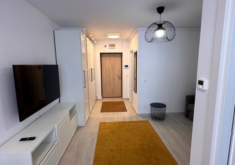 HILS BRAUNER | Proprietar | GARSONIERA premium - Poză 3