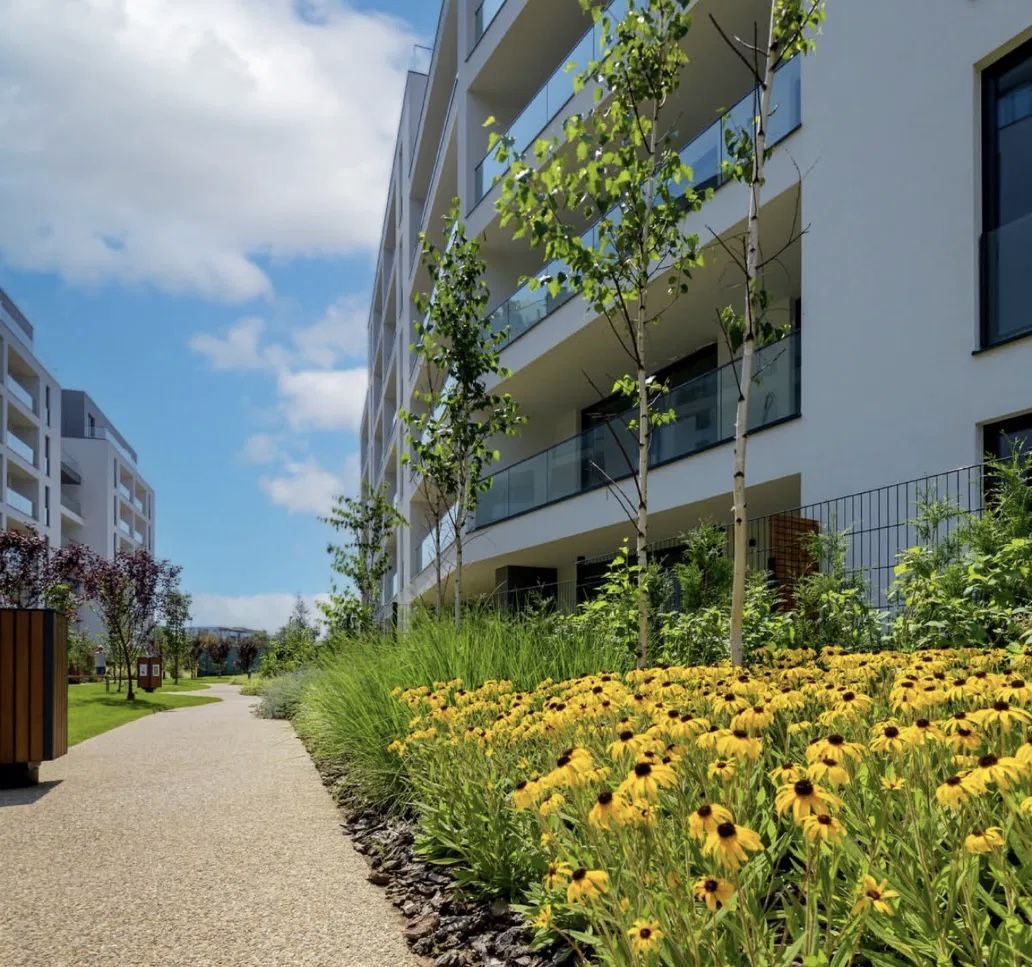 Chirie | Apartament 3 camere | Prima Închiriere | Jandarmeriei - Poză 19