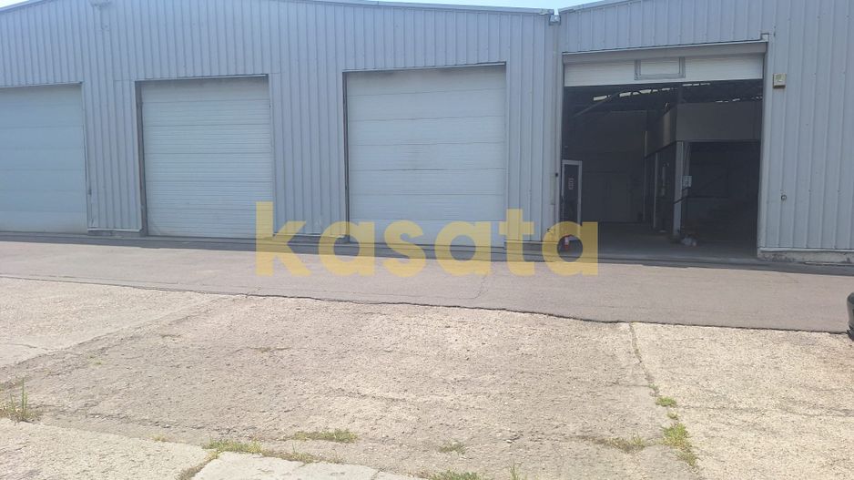 OPORTUNITATE | TEREN | HALE - Poză 6