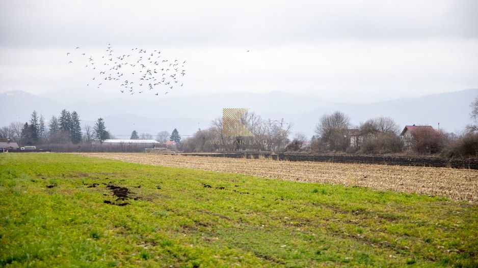 Lot de teren intravilan – 467 mp | Stupini, Strada Albinelor - Poză 10