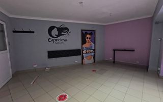 Spatiu comercial de inchiriat in zona Basarabia/Blvd Chisinau/Nicolae Grigorescu - Poză 4