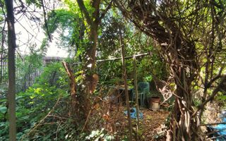 Apartament frumos cu 2 camere decomandate | Zona The Office - Poză 18