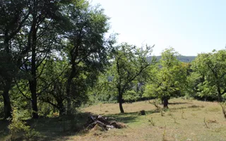 Terenuri Carpinis I parcelabil I Curent pe proprietati - Poză 36