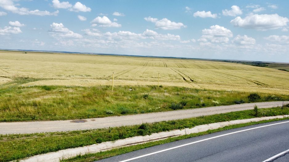 Teren la sosea Ortisoara - Autostrada A1 - Poză 16