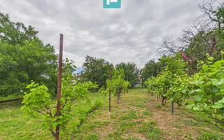 Casă P+M cu grădină generoasă în Ineu - Poză 11