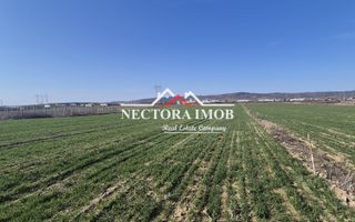 NECTORA IMOB-Teren Intravilan 537 mp, Zona Solay, 250 m de asfalt - Poză 6