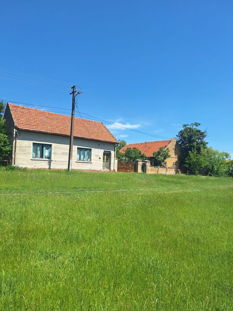 Teren vanzare-8000 m2-Cheveresu Mare -100 m front stradal - Poză 3