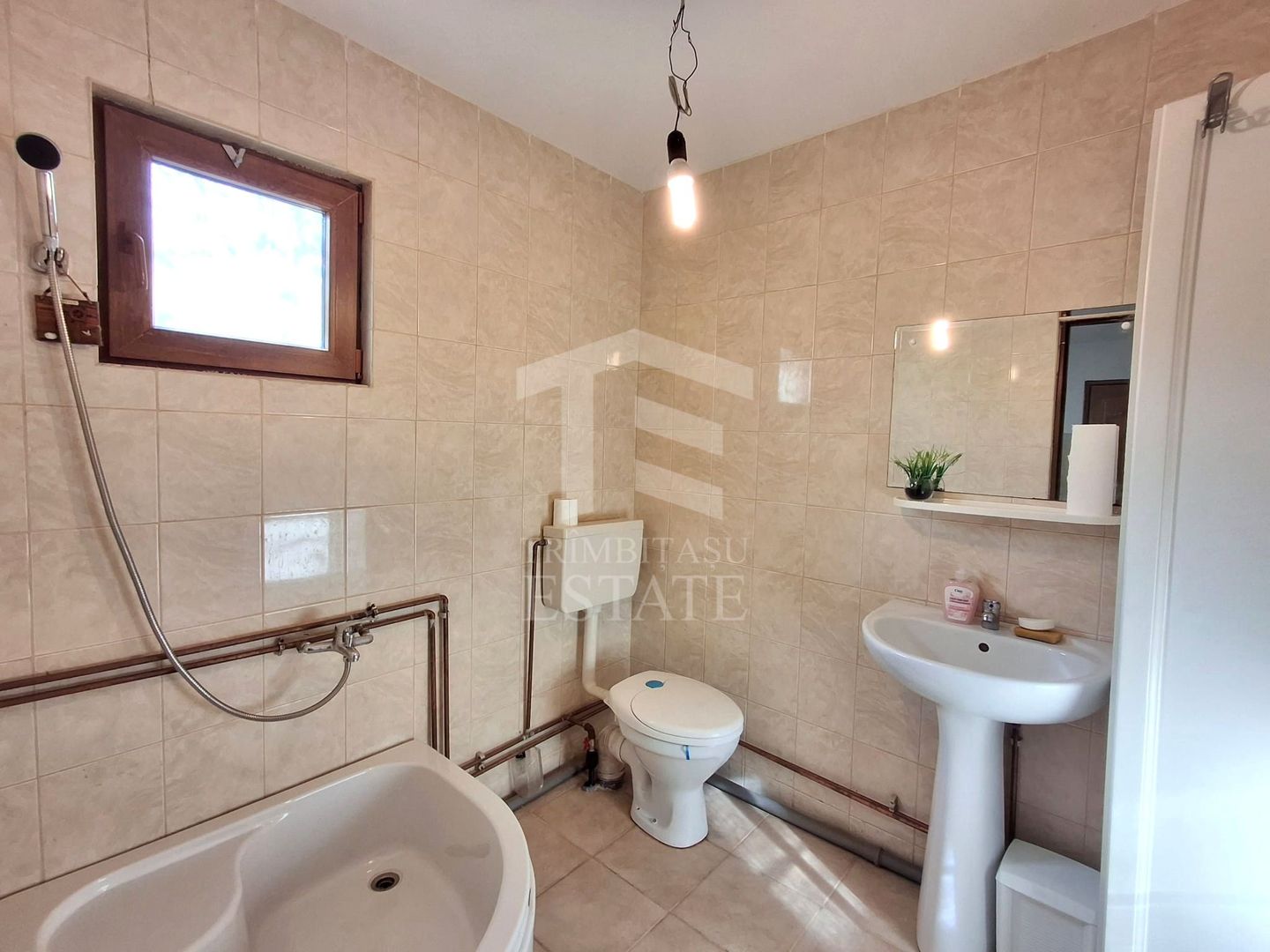 Teren Intravilan zona Andronache – Gherghiței - Poză 15