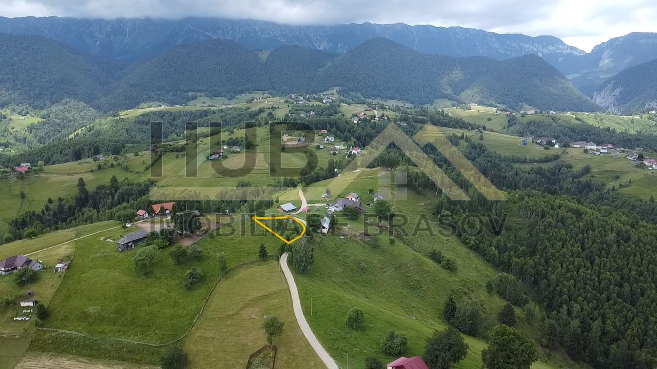 Oportunitate Investitie | Teren Pestera | 1.093mp | Utilitati Gaz/Curent | PUZ - Poză 8