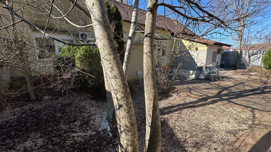 Spatiu de birou cu curte și anexa zona Badea Cartan - Poză 13