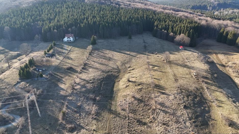 Teren intravilan la baza pădurii Valea Doftanei sat Traisteni (poduri) - Poză 14