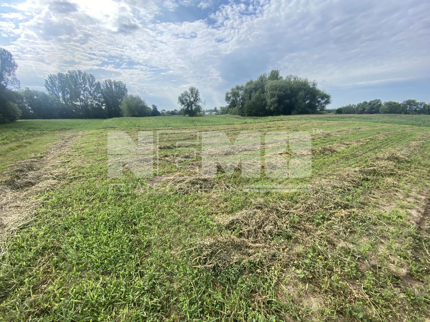 Teren Extravilan | 23 Ari | Satu Mare - Poză 2