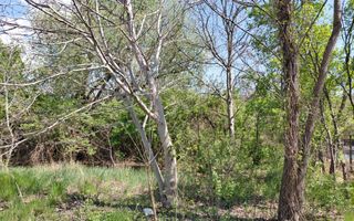 Teren intravilan 3.250 mp în Filești – Ideal pentru casă sau investiție! - Poză 20