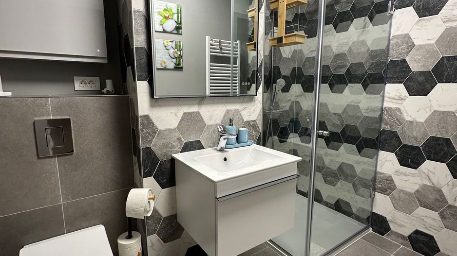 Luxury Penthouse for Rent in Timisoara - Poză 14