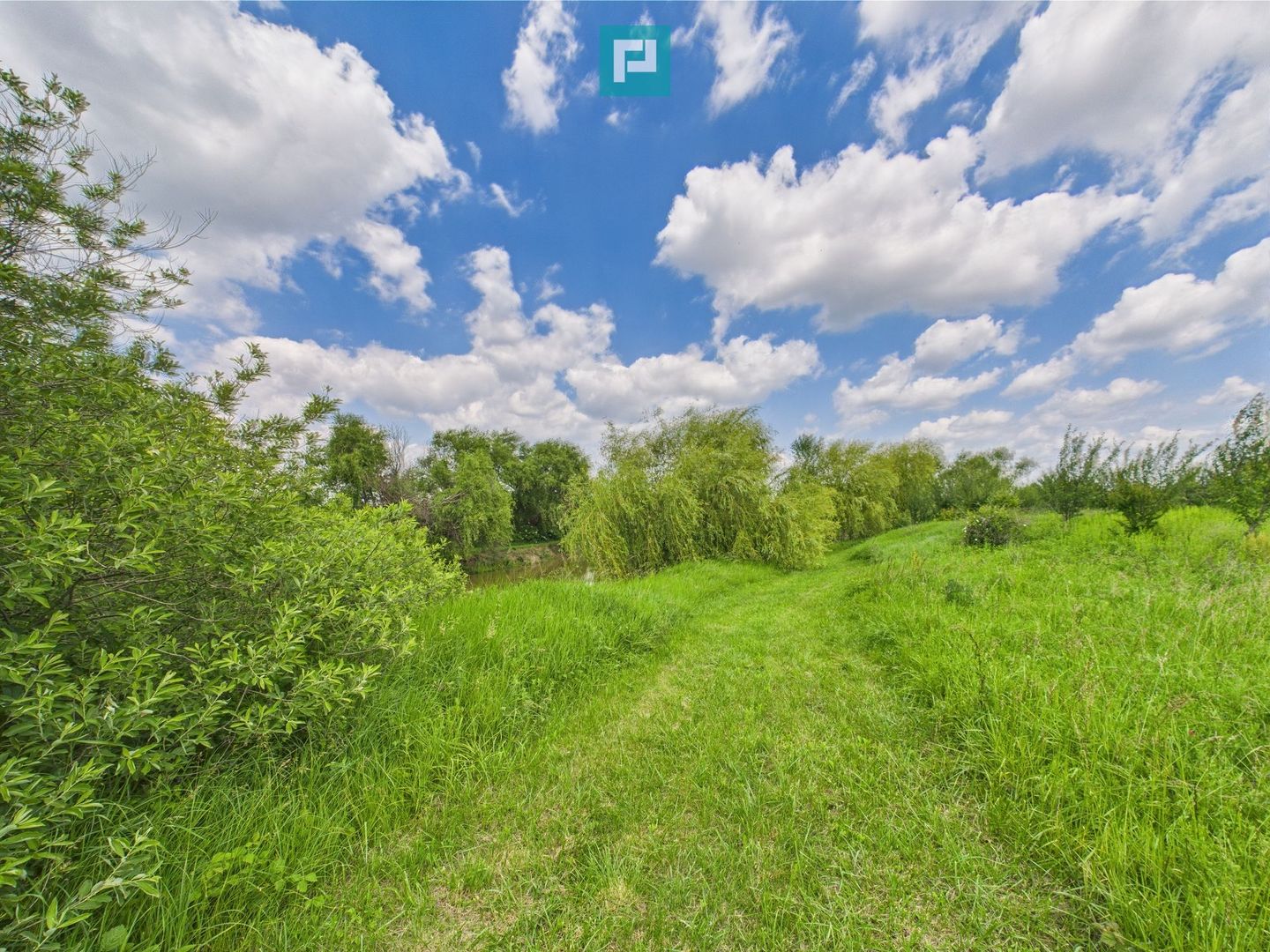 Teren cu baltă- oportunități multiple la Fibiș - Poză 12