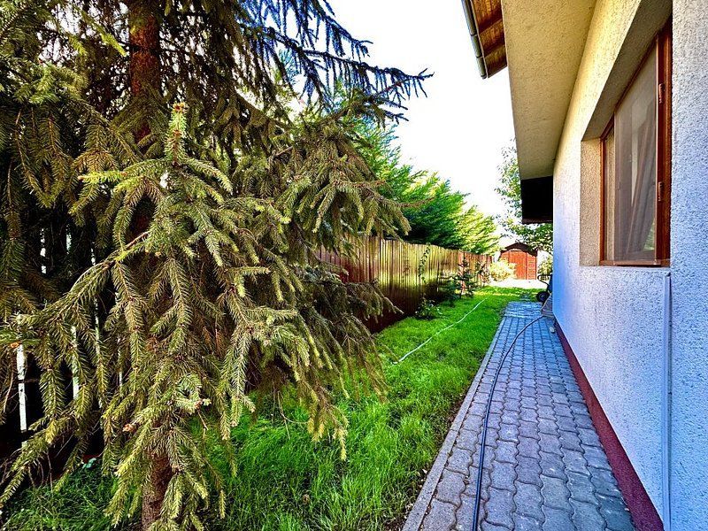 Casa de inchiriat în Calea Aradului - Poză 28