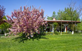 Resedinta spectaculoasa  – Vila exclusivista deschidere directa la lac - Poză 45