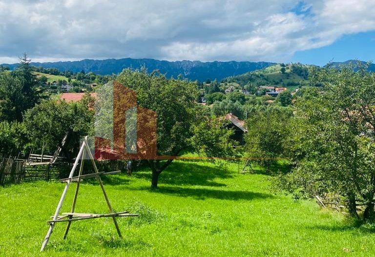 Teren 5879 mp + casa batraneasca Moieciu de jos - Poză 12