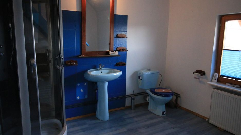 Proprietate deosebita - casa cu curte si livada - Poză 34