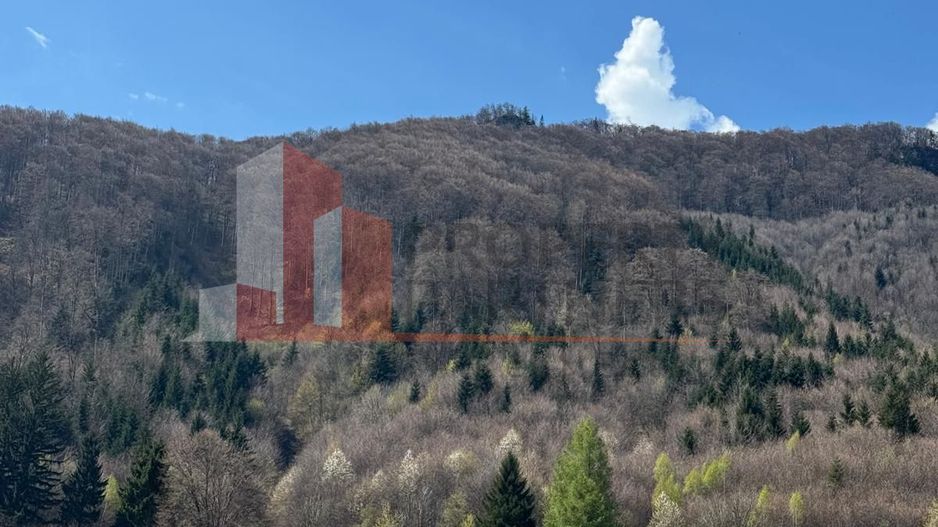 Terenuri Bran - Predelut  Priveliște către Bucegi și Postăvaru - Poză 12