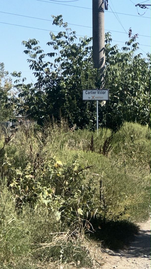 Teren intravilan 3645mp localitate 1 Decembrie zona rezidentiala - Poză 3