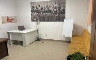 BRASADAS vinde Apt / Sp comercial + curte, zona Titulescu. - Poză 5