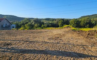 De vanzare teren valea ghinzii - Poză 12