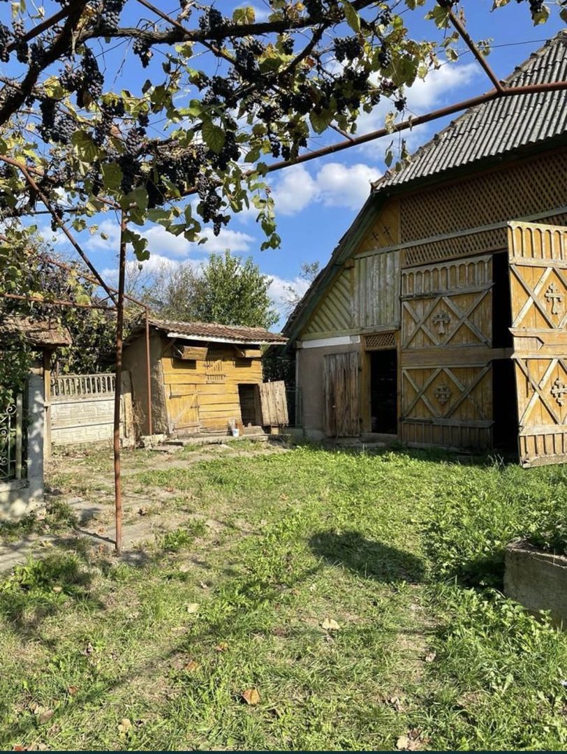 Vand casa la tara - Poză 6