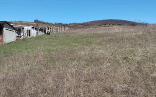 Teren intravilan 3719mp cu utilitati-deschidere la sosea -Crainimat - Poză 2