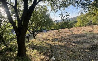 Teren intravilan 3003 mp cu casă bătrânească, fântână și curent electric în Dobrovat, Iași - Poză 7