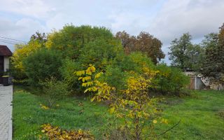 Vânzare teren pentru constucție, str. Alexandru Negru Voda, Botanica - Poză 2