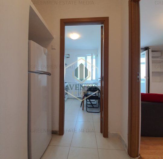 Renovat recent, bloc reabilitat, lift schimbat, Gara de Nord Dinicu Golescu - Poză 12