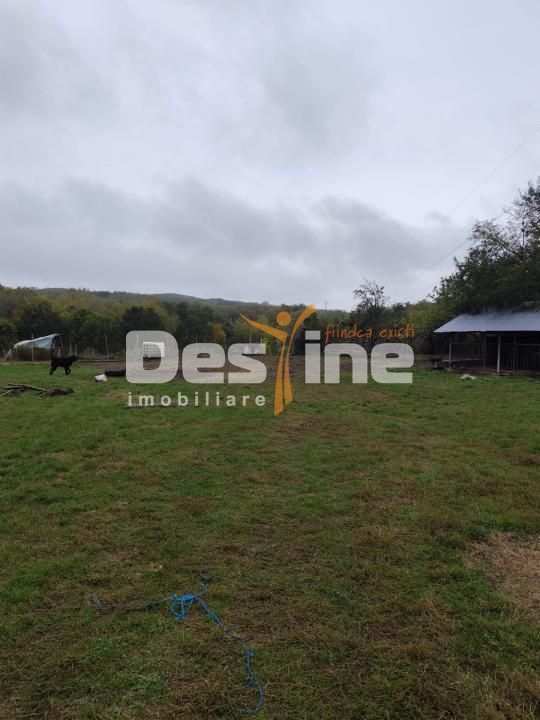 VIla Teisani si 11250 mp teren - Poză 9