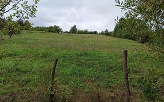 Teren intravilan 12600 mp-utilitati-ideal case, investitie-Livezile - Poză 3