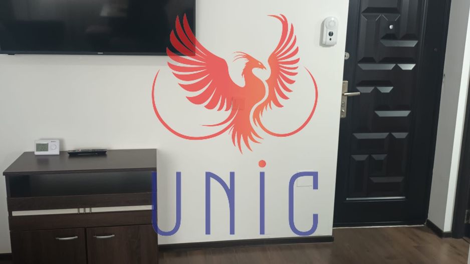 Super pret! 2 camere, Brazda lui Novac - Poză 13
