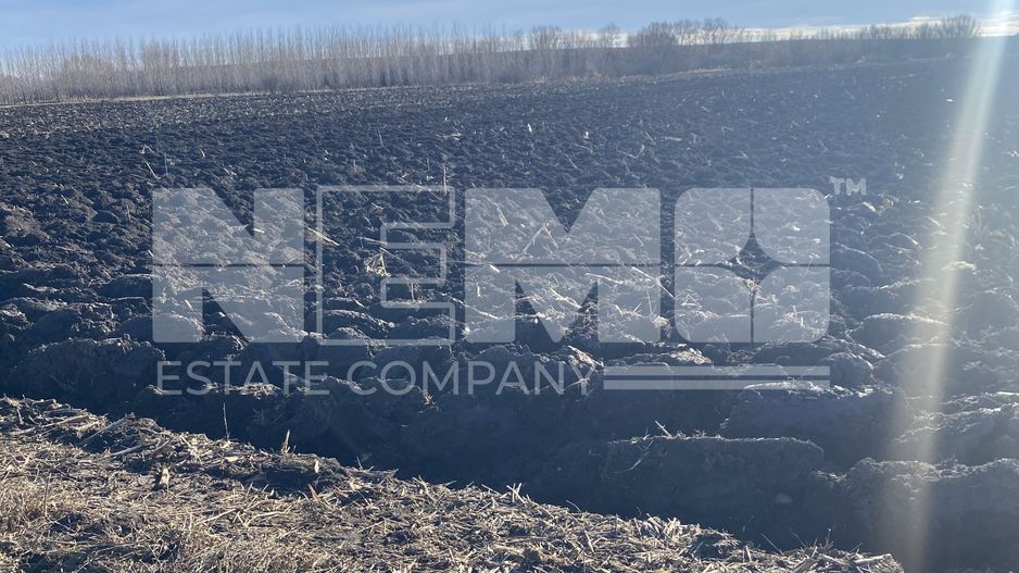 Teren extravilan | Drum Satu Mare | 42Ari - Poză 1