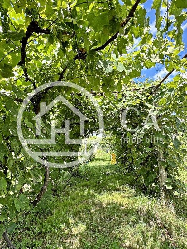 Casă de vânzare cu 3 camere în Ineu de Criș, Bihor - Poză 12