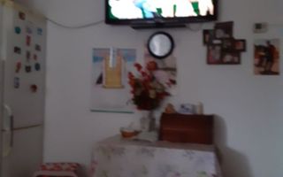 Chirie tatarasi ( casa podul de fier) - Poză 3