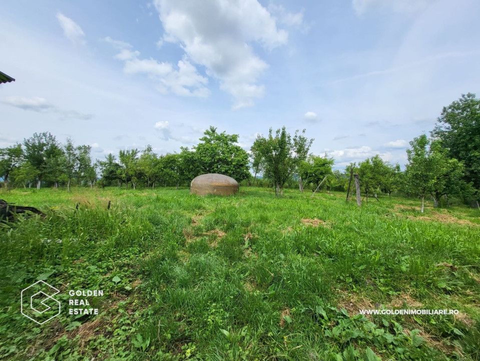 Casa mare, 3 corpuri de cladire, sat Lalasint - Poză 8