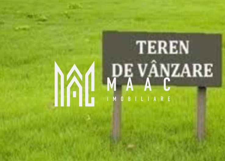 Teren extravilan | Industrial Vest | Investitie | Acces direct - Poză 3