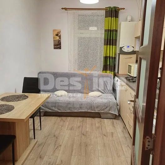 Garsoniera in cartier de case, la curte, pet friendly, Centrul istoric - Poză 3