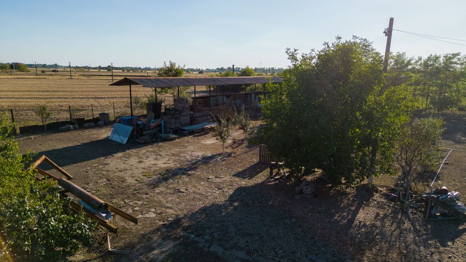 Hală industrială cu multiple destinații în Nădlac - Poză 48