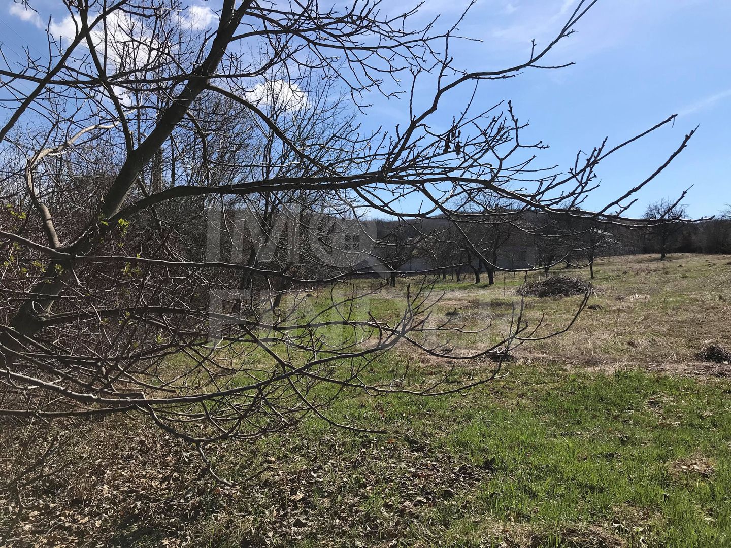 Vanzare 7080 mp teren cu PUZ in Faget - Poză 3