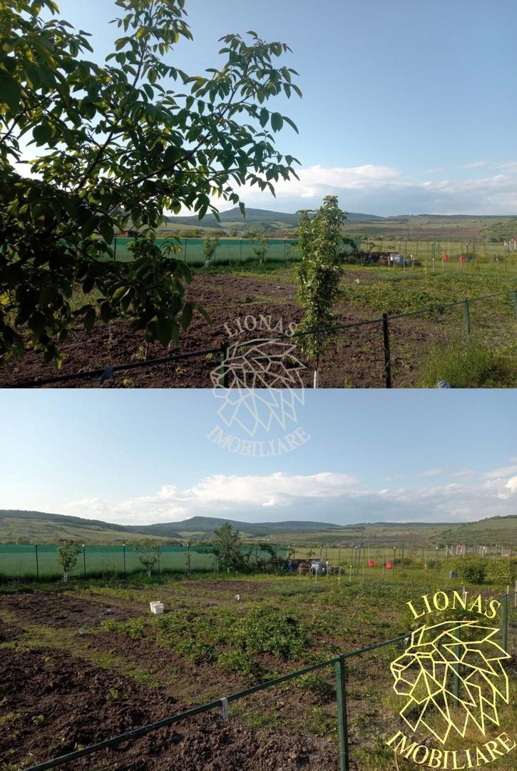 Casa noua - 120 mp- Parter - Teren 800 mp - Zona Teren sport Jelna - Poză 8